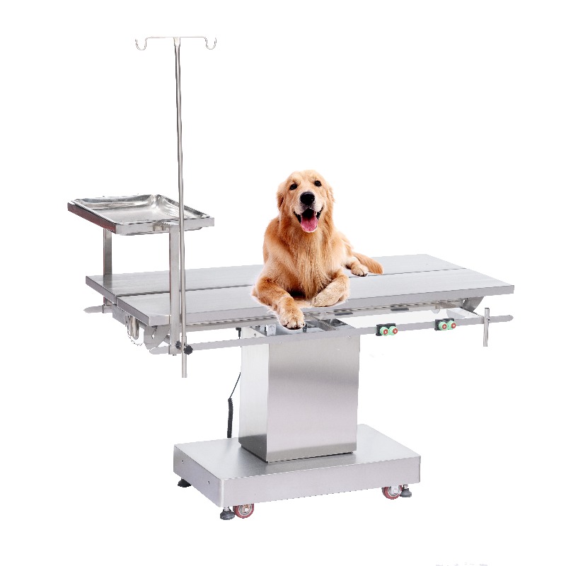Pet Supplies Vet Clinic - Meja Periksa Hewan 2026 untuk Klinik