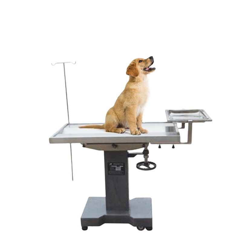 Pet Supplies Vet - Meja Operasi Hewan Peliharaan/Meja Bedah Veteriner,