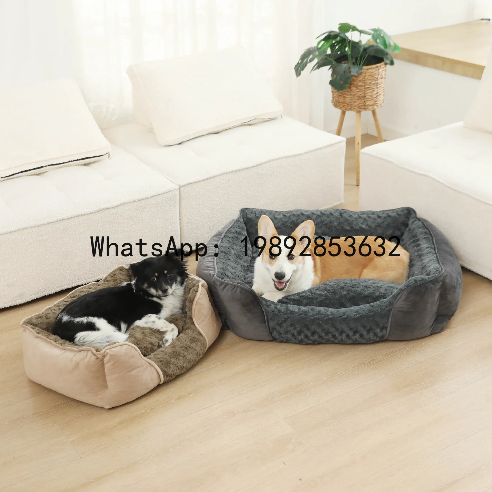 Pet X Supplies & Tack Photos - Rumah kucing X, kandang anjing semi-tertutup,