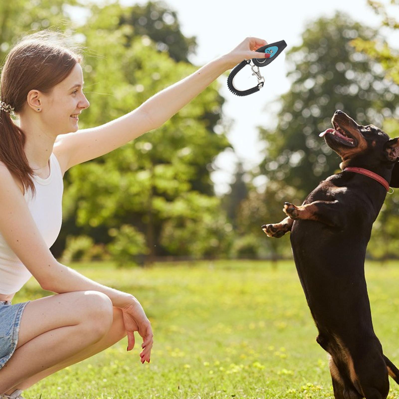 Training Clicker Dog - Clicker dan Peluit Pelatihan Hewan Peliharaan