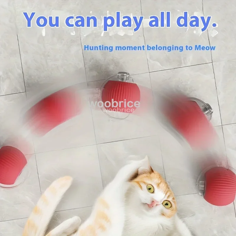 Mainan Kucing Pintar HOT, Bola - Pet Supplies First ulasan dan harga