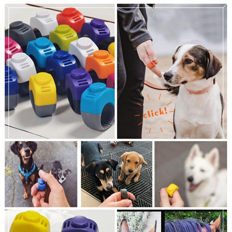 【F】Alat Latih Klik Jari Mini u - Training Clicker Dog ulasan dan harga