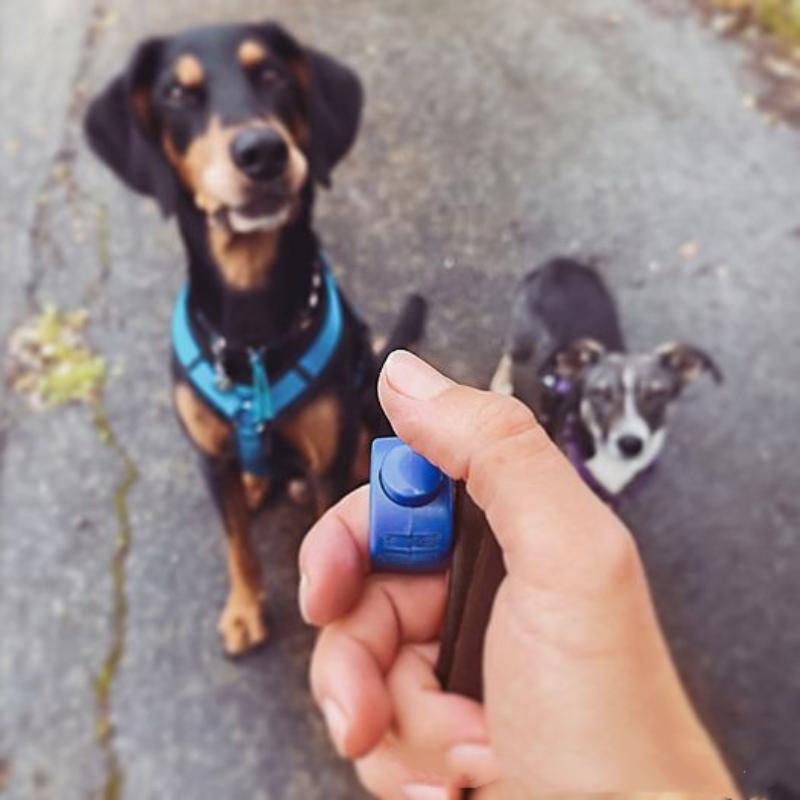 【F】Alat Latih Klik Jari Mini u - Training Clicker Dog ulasan dan harga