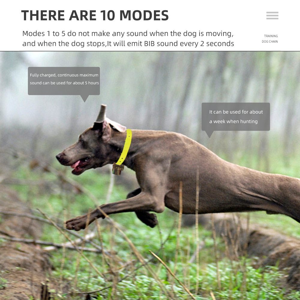 Kerah Beep Anjing Berburu Dapa - Training Clicker Dog ulasan dan harga