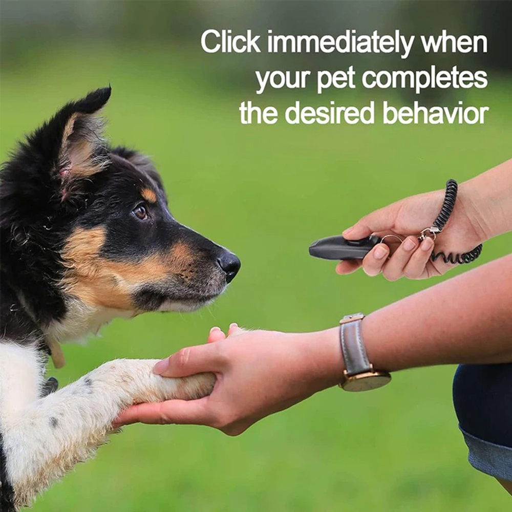 2 in 1 Alat Pelatih Anjing, Pe - Training Clicker Dog ulasan dan harga