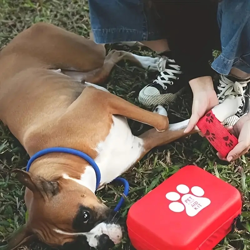 Kit pertolongan pertama hewan  - Pet Supplies First ulasan dan harga