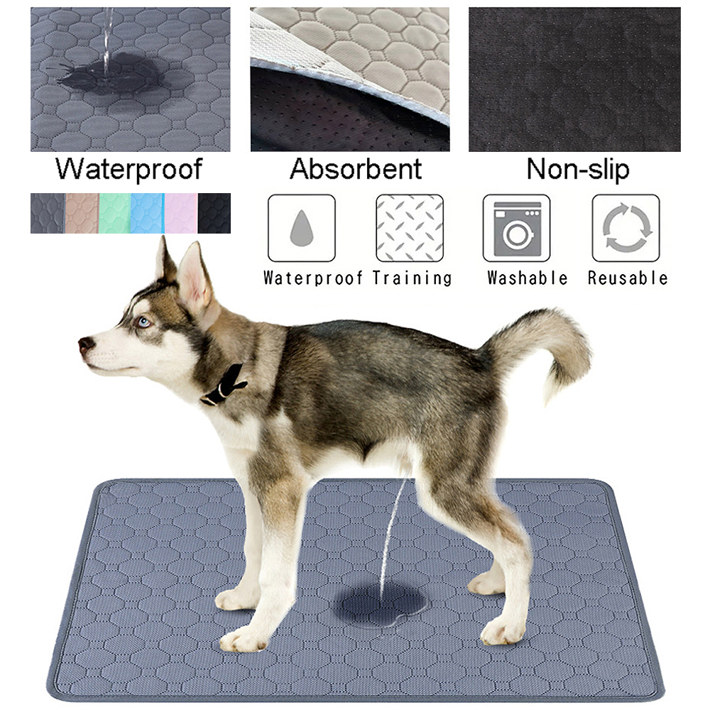 Alas Pipis Anjing yang Dapat D - Pet Supplies Dog Wash ulasan dan harga