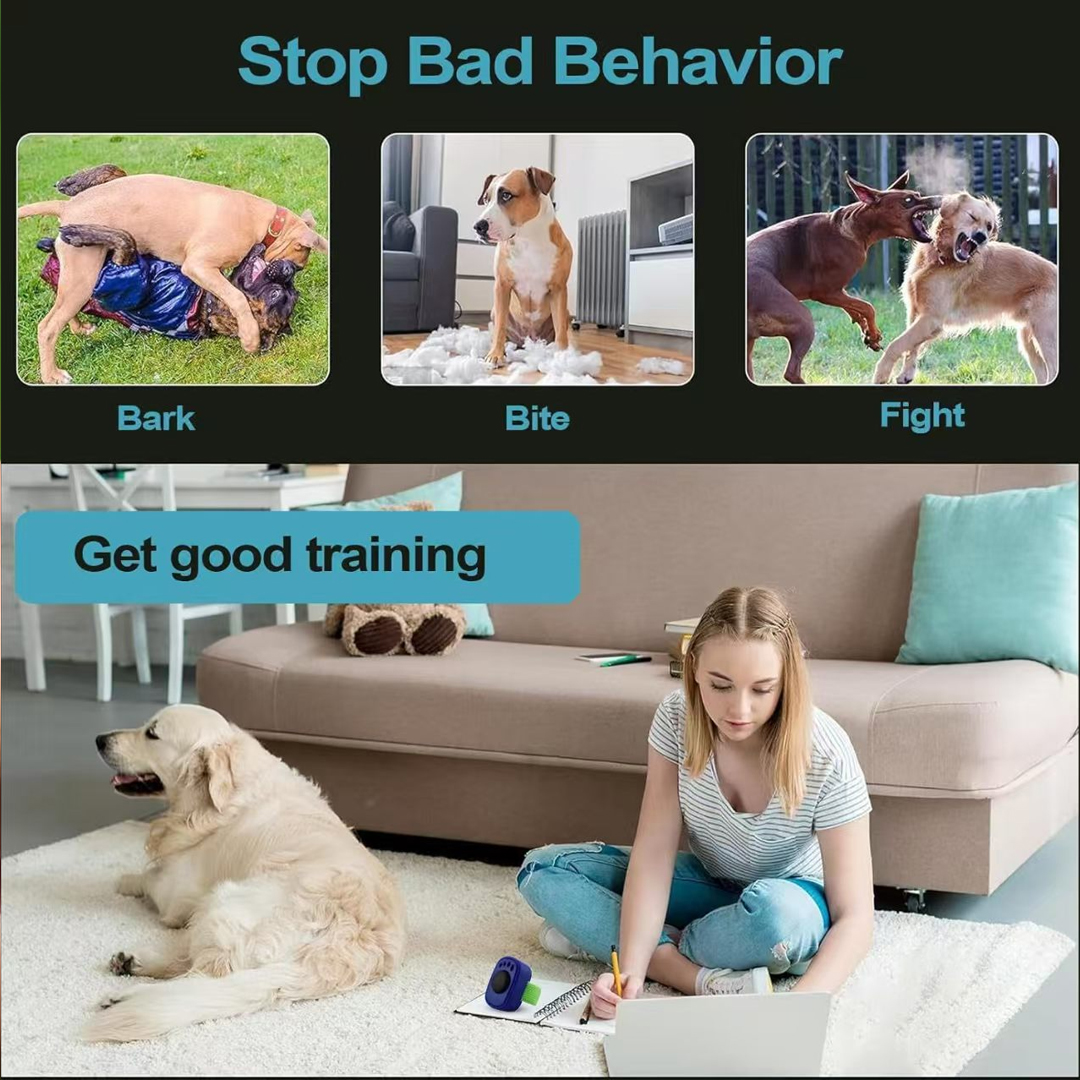 Kliker Pelatihan Anjing Profes - Training Clicker Dog ulasan dan harga