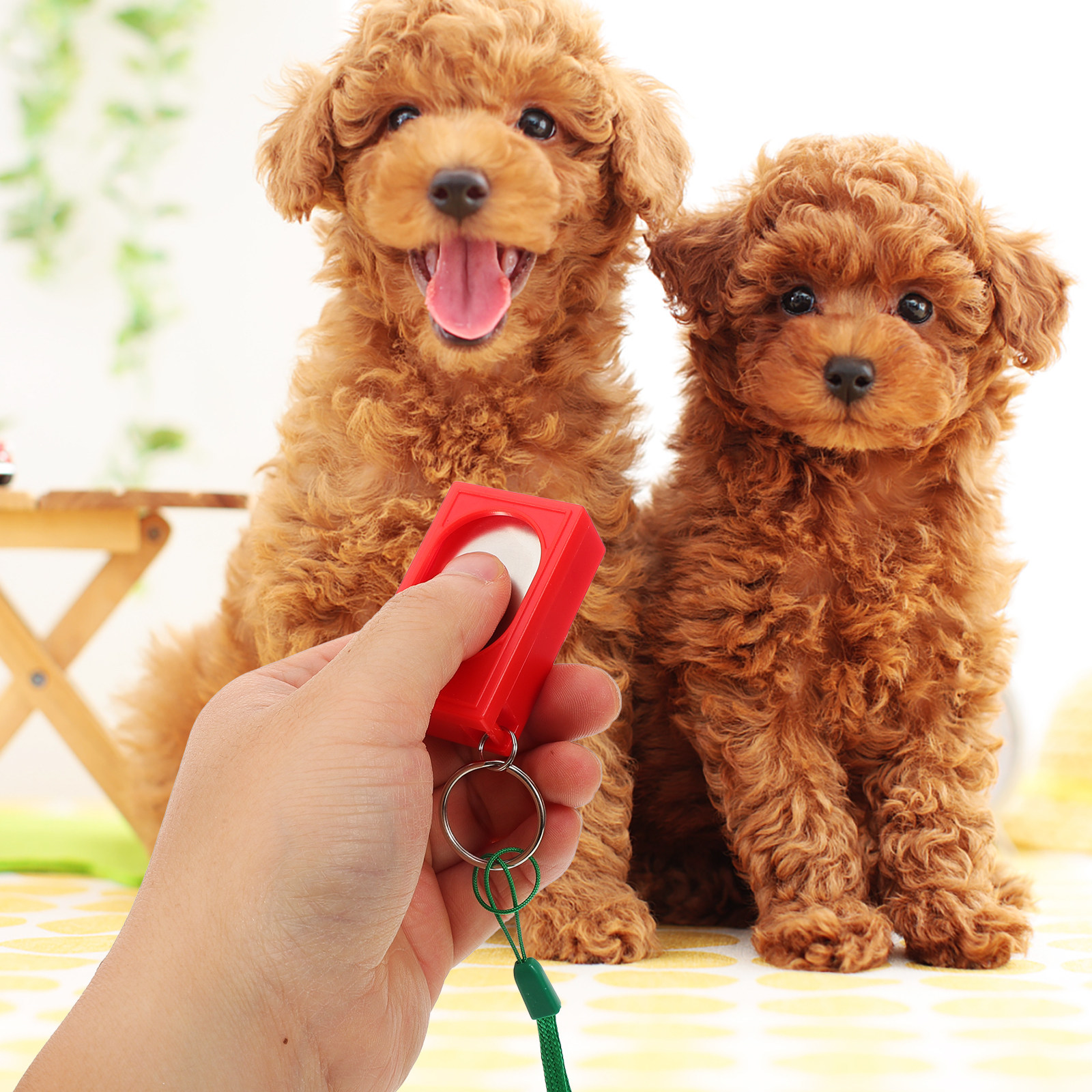 2 Buah Alat Clicker Anjing Per - Training Clicker Dog ulasan dan harga