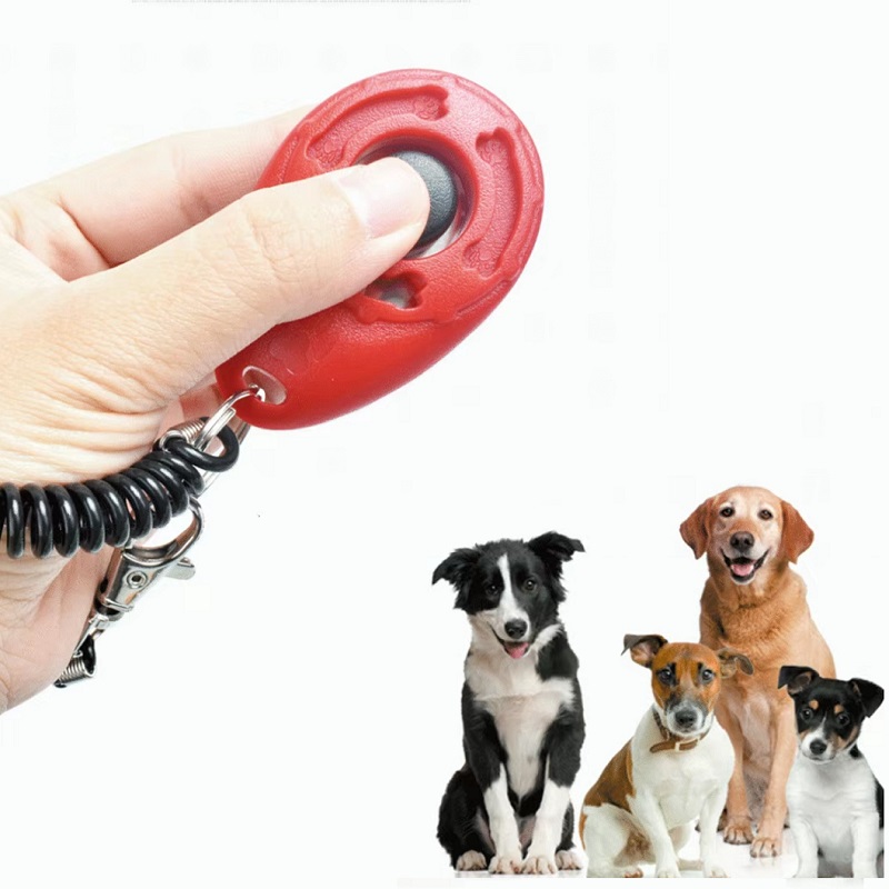 Gelang Pergelangan Tangan yang - Training Clicker Dog ulasan dan harga