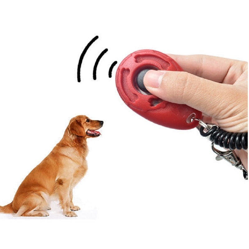 Gelang Pergelangan Tangan yang - Training Clicker Dog ulasan dan harga