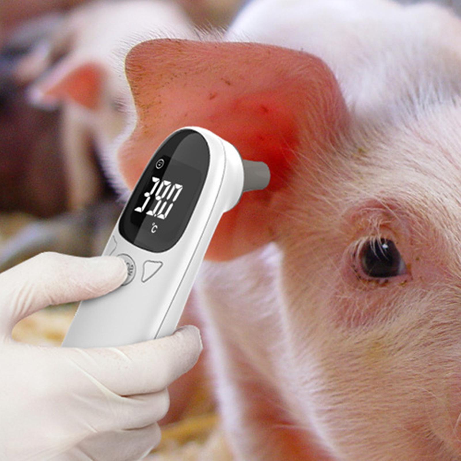 Termometer Telinga Anjing Kuci - Pet Supplies Vet ulasan dan harga