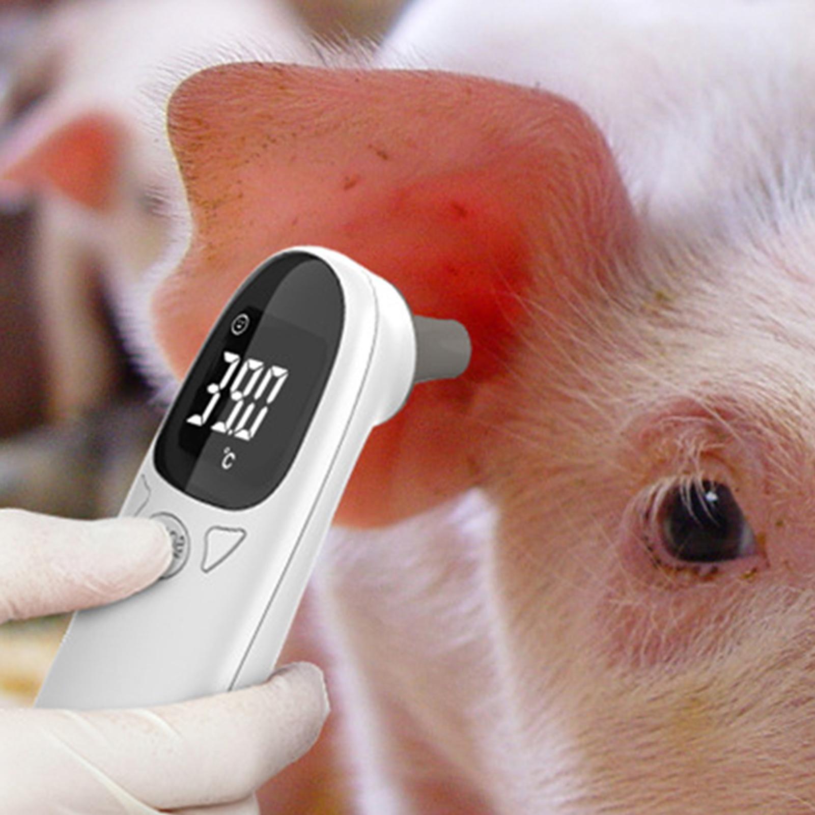 Termometer Telinga Anjing Kuci - Pet Supplies Vet ulasan dan harga
