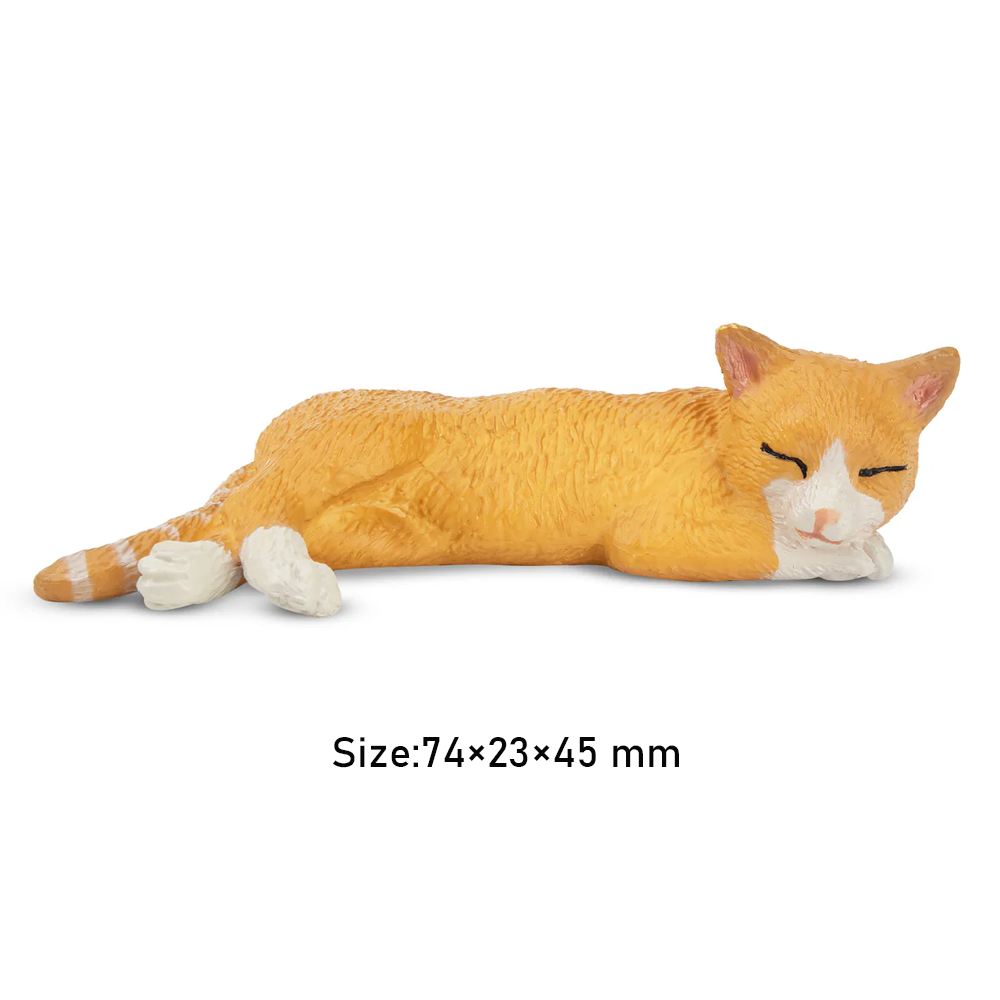 Toymany Mainan Model Hewan Pel - Pet Supplies Delivery ulasan dan harga