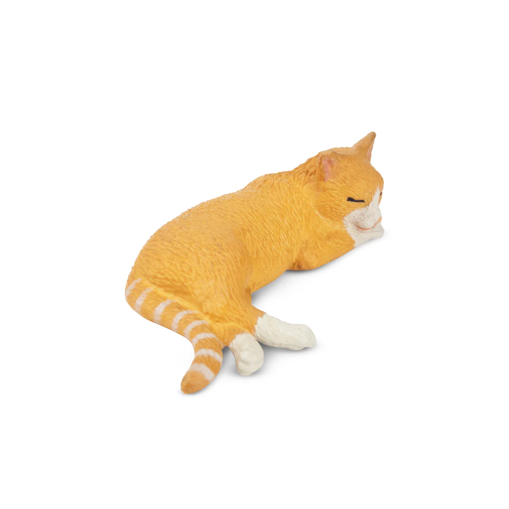 Toymany Mainan Model Hewan Pel - Pet Supplies Delivery ulasan dan harga