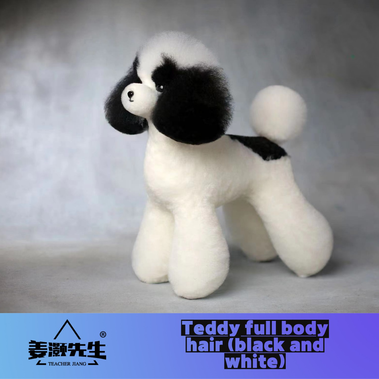 Mr. Jiang Teddy huagui (hanya  - Pet Supplies Delivery ulasan dan harga