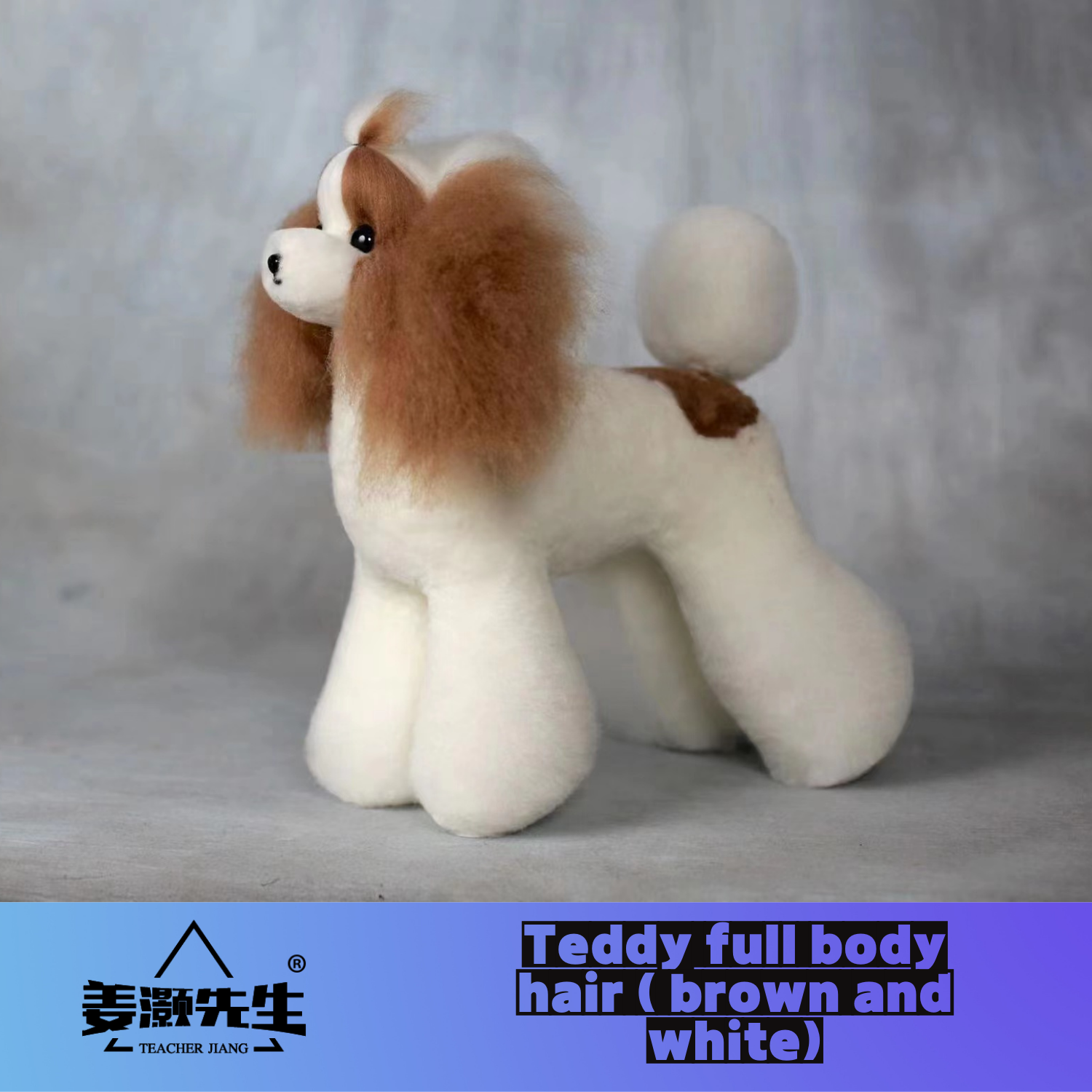 Mr. Jiang Teddy huagui (hanya  - Pet Supplies Delivery ulasan dan harga