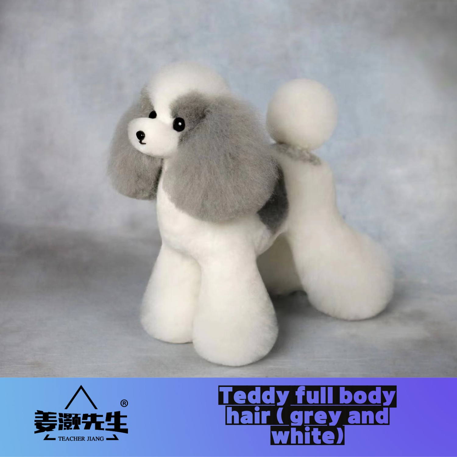 Mr. Jiang Teddy huagui (hanya  - Pet Supplies Delivery ulasan dan harga