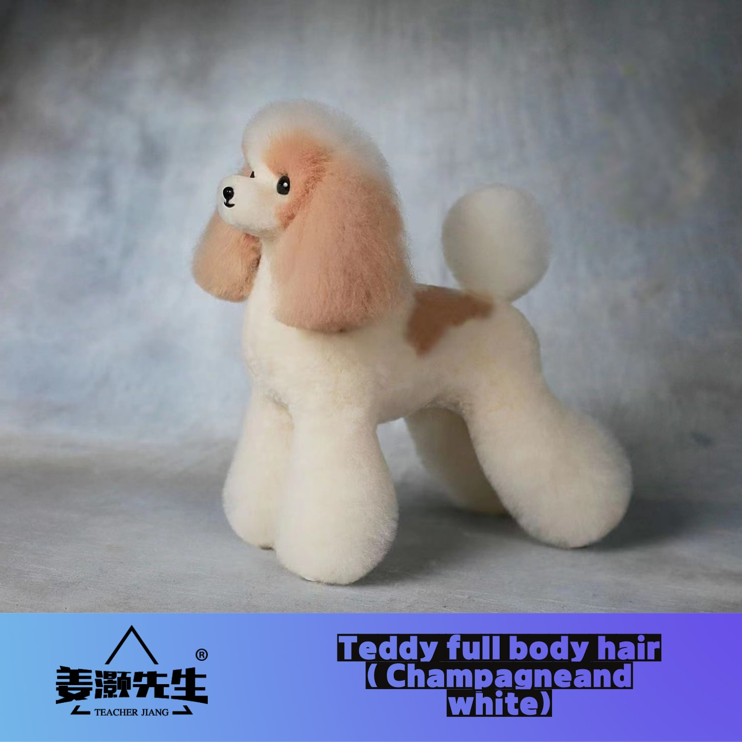 Mr. Jiang Teddy huagui (hanya  - Pet Supplies Delivery ulasan dan harga