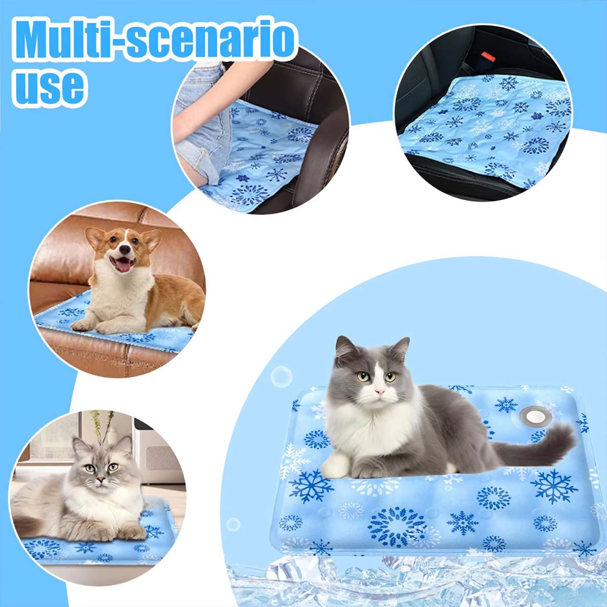 Alas Hewan Peliharaan Musim Pa - Pet Supplies Delivery ulasan dan harga