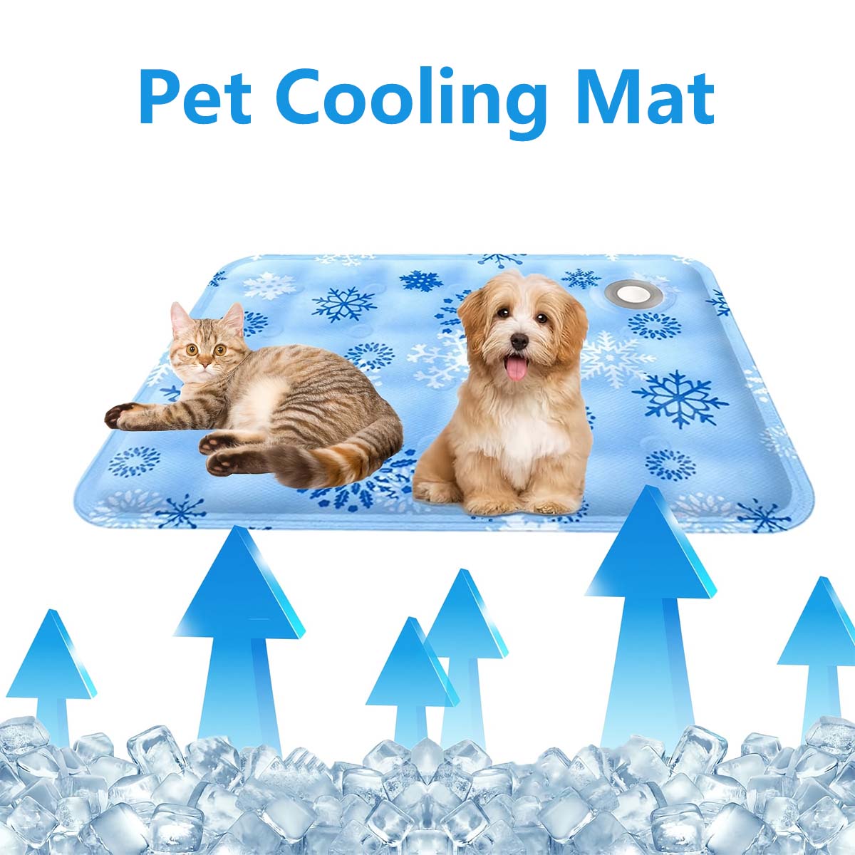 Alas Hewan Peliharaan Musim Pa - Pet Supplies Delivery ulasan dan harga