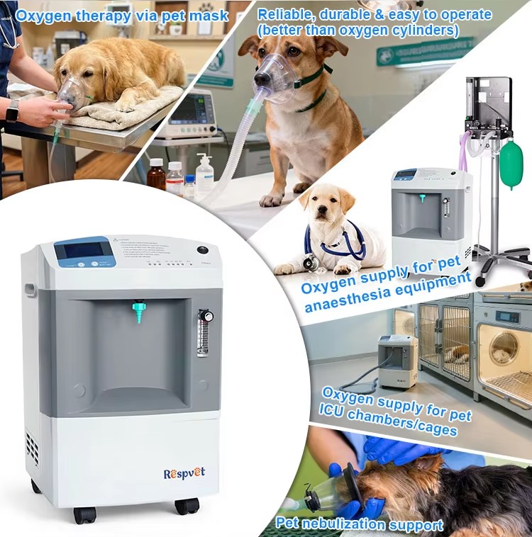 Alat Pasokan Oksigen Veteriner - Pet Supplies Vet ulasan dan harga