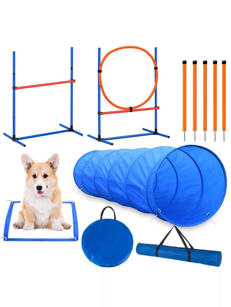 Perlengkapan Kompetisi Latihan - Pet Supplies Usa ulasan dan harga