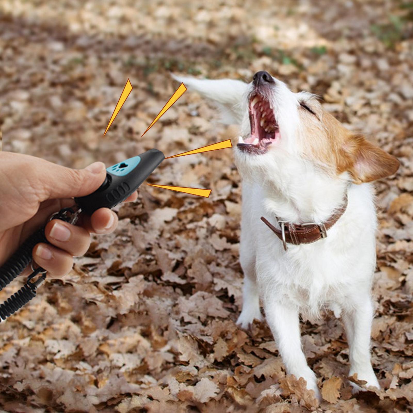 Clicker dan Peluit Pelatihan H - Training Clicker Dog ulasan dan harga