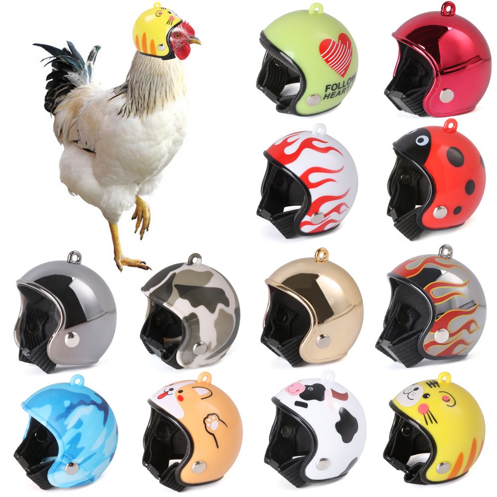 Perlengkapan Hewan Peliharaan  - Pet X Supplies & Tack Photos ulasan dan harga
