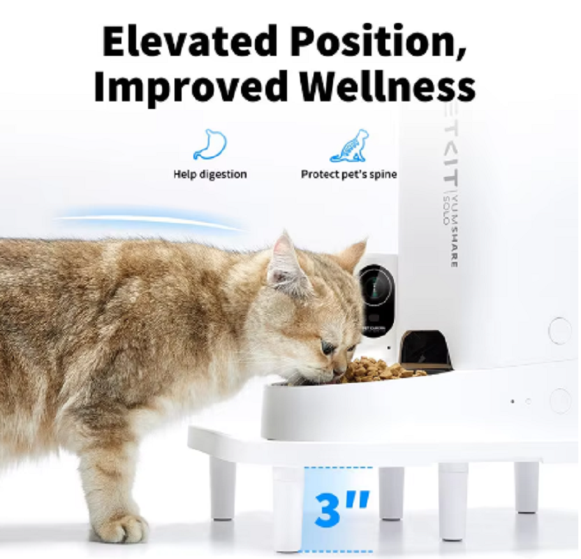 Tempat Makan Kucing Otomatis P - Pet Supplies First ulasan dan harga