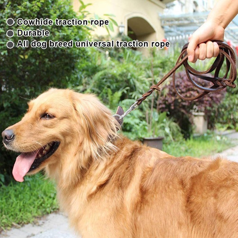 Tali anjing kulit sapi lapis p - Pet Supplies First ulasan dan harga