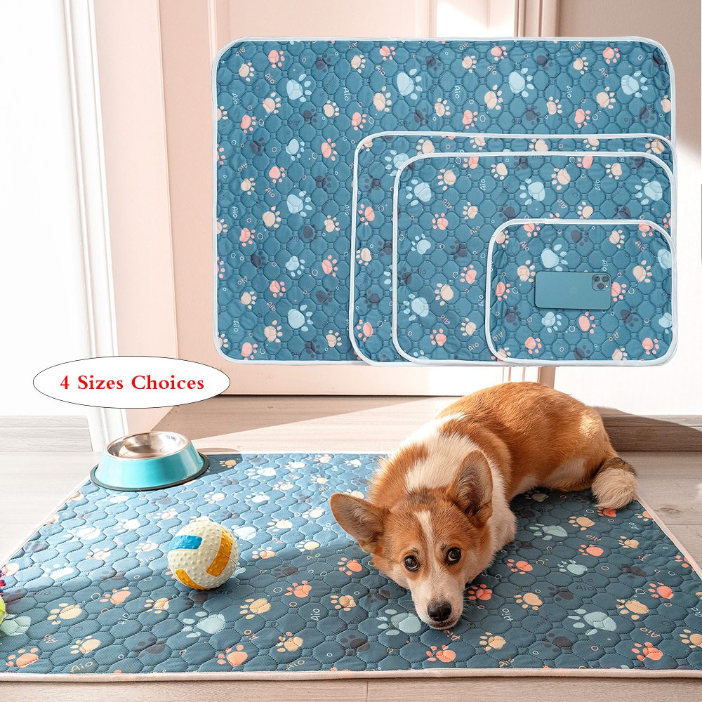 Alas kencing anjing dapat dipa - Pet Supplies Dog Wash ulasan dan harga