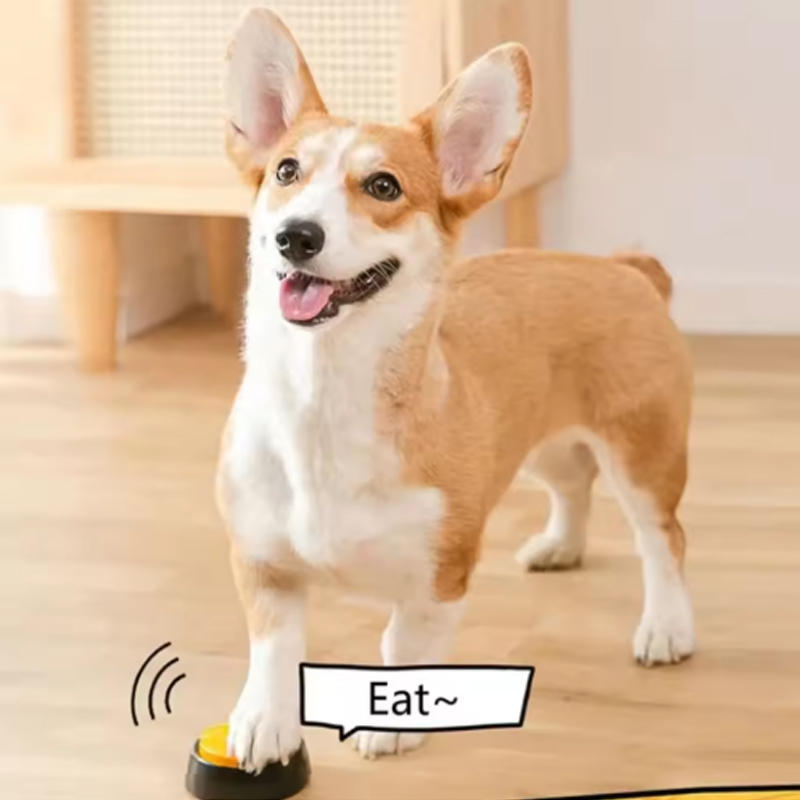 Tombol Komunikasi Anjing Tombo - Training Clicker Dog ulasan dan harga