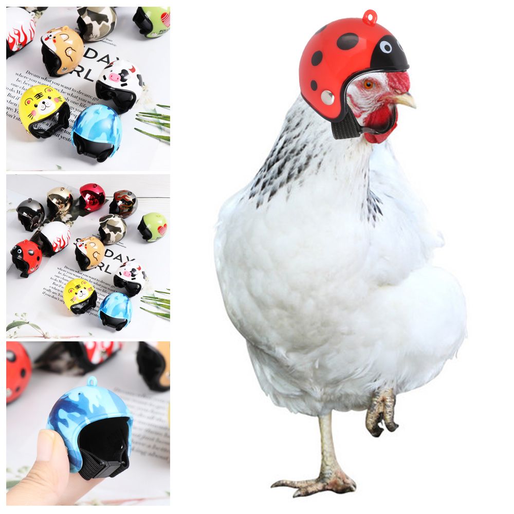 Perlengkapan Hewan Peliharaan  - Pet X Supplies & Tack Photos ulasan dan harga