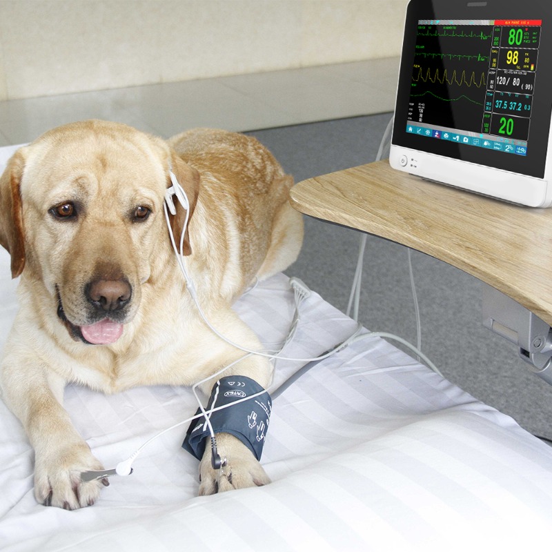 Monitor Tanda Vital Hewan Port - Pet Supplies Vet ulasan dan harga