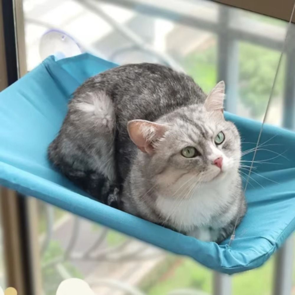 Tempat Tidur Kucing Gantung Kr - Pet Supplies Delivery ulasan dan harga