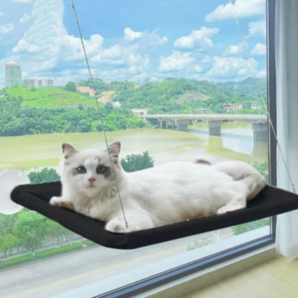 Tempat Tidur Kucing Gantung Kr - Pet Supplies Delivery ulasan dan harga